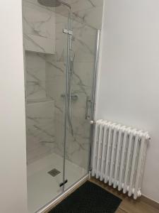 eine Dusche mit Glastür im Badezimmer in der Unterkunft Farmhouse in Montaigu-Vendée