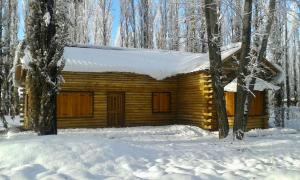 a log cabin in the snow in the woods at Cabaña LA EMILIA Uspallata Mdz in Uspallata +26 photos