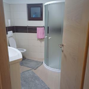 a bathroom with a shower with a toilet and a sink at Holiday House Ostrozac na Uni in Ostrožac