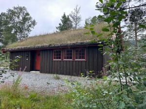 a small building with a grass roof with red windows at Bjorliheimen Fjellhotell-Hytte 11 & 12 in Bjorli +2 photos