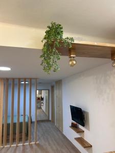 a living room with a potted plant hanging from a ceiling at Can Sablet in Horta de San Joan