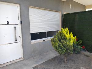 a house with a window and a bush in front of it at Depto Civora 5 in Villa Regina