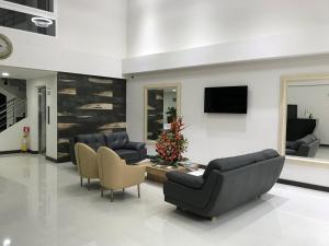 エンビガドにあるArame Hotelのリビングルーム(ソファ、壁掛けテレビ付)