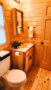 e bagno in legno con servizi igienici e lavandino. di Blue Buffalo Resort a Island Park Altre 44 foto
