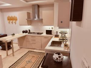 Η κουζίνα ή μικρή κουζίνα στο 1 BHK Fully Furnished Apartment +8 φωτογραφίες