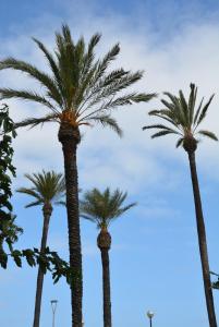 Fotografia z galérie ubytovania Apartamento Flavia I Espalter v destinácii Sitges