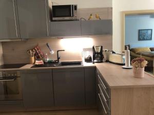 a kitchen with a sink and a counter top at Schwarzatal Trippstein 2 in Schwarzburg