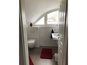 a bathroom with a toilet and a sink and a window at Holiday home in Prerow with swimming pool in Prerow +27 photos