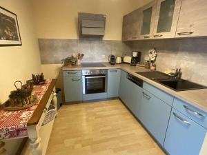 a kitchen with blue cabinets and a counter top at Schwarzatal meadow view in Schwarzburg