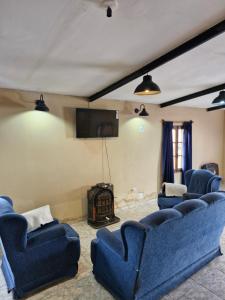 sala de estar con 3 sofás azules y chimenea en Hospedaje El Quincho, en Gobernador Gregores