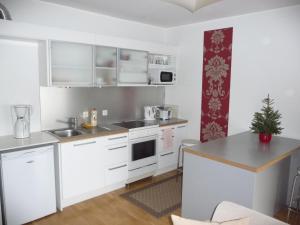 Kuchyň nebo kuchyňský kout v ubytování Apartments Rotermanni