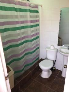 a bathroom with a toilet and a shower curtain at casa para empresa o vacaciones in Iquique