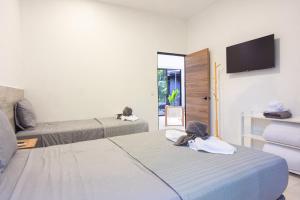 a room with two beds and a tv on the wall at Somnara Espuma de Mar Shared Pool in Punta Uva +4 photos