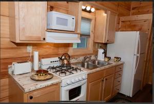 a kitchen with a stove and a sink and a microwave at Luxury Cabin #11 in Ocala