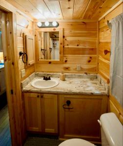 a bathroom with a sink and a toilet at Luxury Cabin #11 in Ocala