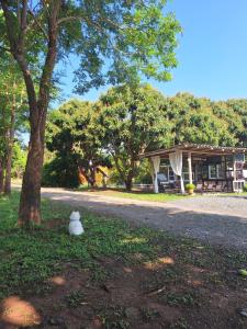 un oso de peluche sentado en la hierba junto a un árbol en Season to table, en Ban Cho Lae