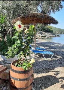 two chairs and an umbrella and a flower in a barrel at MARATHIAS BEACH MISS ASIMENIA One empty pitch for your RV ΜΙΑ ΘΕΣΗ CAMBING RV in Milina +43 photos