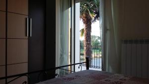 a bedroom with a view of a palm tree through a window at Casa Vacanze Le Due Palme in Miglianico