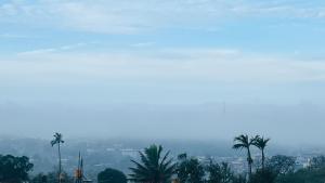 a view of a city with palm trees at Wild Wood Stays in Madikeri +3 photos