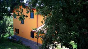 The building in which a panziókat is located