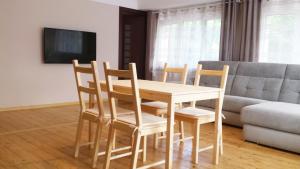 Televízia a/alebo spoločenská miestnosť v ubytovaní Apartamenty i Pokoje przy Parku