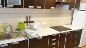 Kuchyňa alebo kuchynka v ubytovaní Apartamenty i Pokoje przy Parku