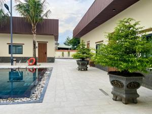 a courtyard with a pool and two potted trees at Vuon Xanh Hotel & Cafe in Xóm Mỹ Xuân