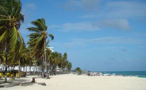 a sandy beach with palm trees and the ocean at Apartamento En San Andres in San Andrés