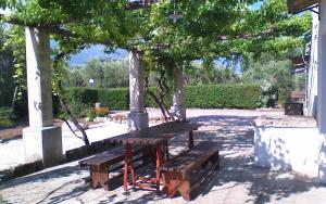 Zahrada ubytování LA PILA masseria salentina con piscina 3 camere con 6 PL si animali domestici