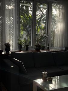 Fotografie z fotogalerie ubytování Hoshi DaLat Full House v destinaci Xuan An