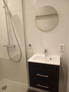 Un baño con lavabo y ducha con espejo. en Herberg van Loon, en Loon