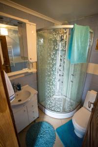 Vannituba majutusasutuses Etno Apartment Vrdnik