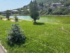 Fotografie z fotogalerie ubytování Mony Hotel v destinaci Goris