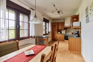 Η κουζίνα ή μικρή κουζίνα στο Haus Freigeist - Friedrichssuite