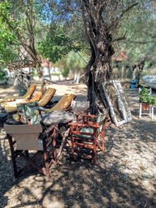 a group of chairs and tables under a tree at Marathias beach Miss Asimenia in Milína