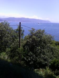 a pole in the grass next to a body of water at Appartamento Libertà in Portovenere