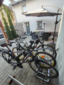 Ποδηλασία στο Haus der Wonne nähe Berzdorfersee -Görlitz ή στη γύρω περιοχή