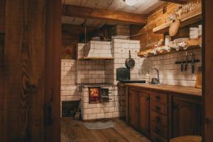 a kitchen with a stove in the middle of a room at Domek Gajowy-5 in Białowieża