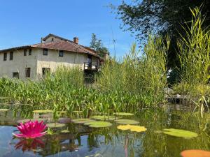 a house in the middle of a pond with lilies at ChezLeMoulin Bed and Breakfast in Samouillan