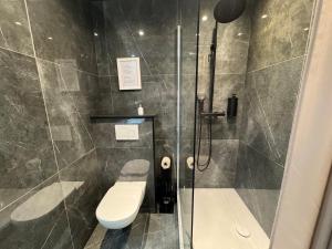 a bathroom with a shower and a toilet at Le deux-pièces du Clos du Bourgage in Saint-Pierre-dʼAutils