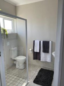 a bathroom with a toilet and a glass shower door at Sophia’s Cottage in Cape Town +20 photos
