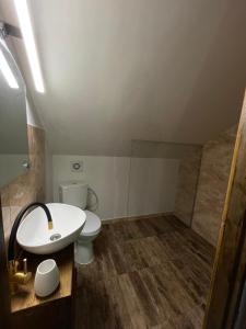 a bathroom with a toilet and a sink and a shower at Casuța cu târnaț in Colibiţa +9 photos