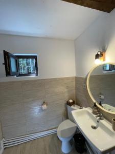 a bathroom with a sink and a toilet and a mirror at Casuța cu târnaț in Colibiţa