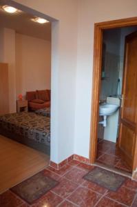a living room with a couch and a sink at Bornemisza Kuria in Tiszabecs
