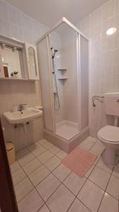 a bathroom with a shower and a toilet and a sink at Apartmani Azik in Lopar