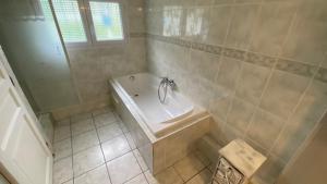 a bathroom with a bath tub and a sink at Le Gîte Saint Girons in Saint-Girons-dʼAiguevives +2 photos