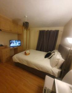 a bedroom with a bed and a television in it at Double size and Single room in Barking in Barking