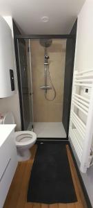 a bathroom with a shower with a toilet in it at Joli duplex centre ville terrasse wifi clim in Châteauroux