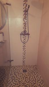 a shower in a bathroom with a shower at La Petite Maison in Orgueil