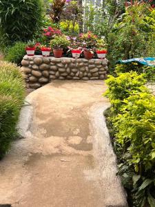 a garden with potted plants on a stone wall at Periyar Cottage in Munnar